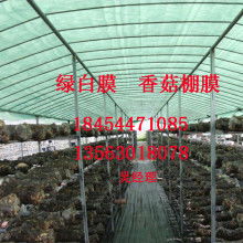 莆田市涵江区洋尾塑料制品厂销售部 专注PE塑料吹膜与制品销售的专业供应商